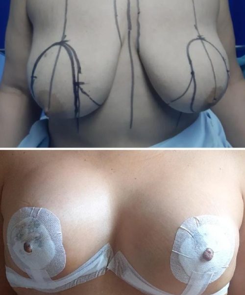 Mesa de trabajo 2 copia 2-100